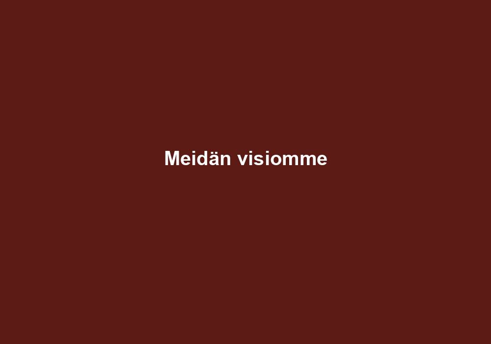 Meidän visiomme